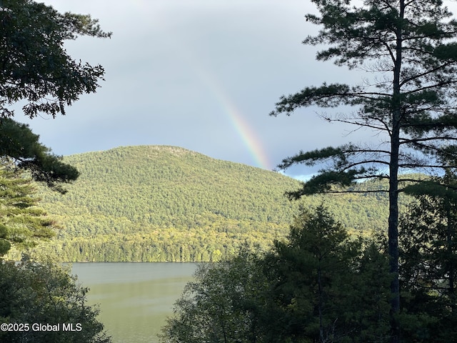 property view of mountains featuring a forest view and a water view