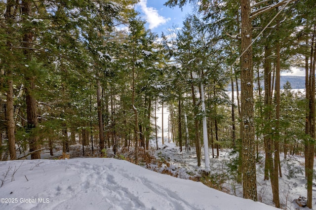 view of snowy landscape