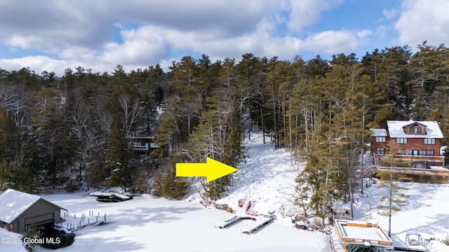 snowy aerial view with a forest view