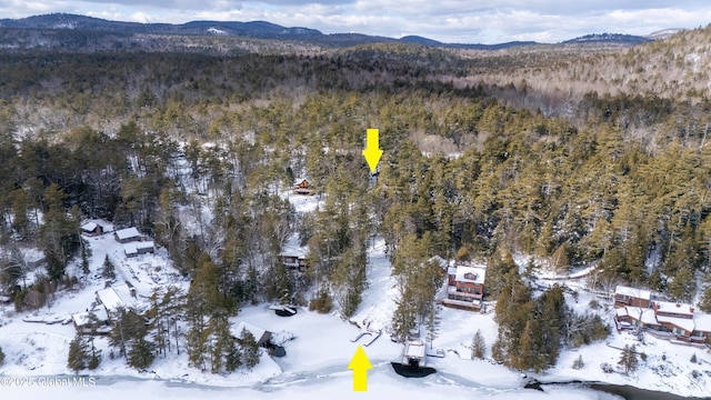 snowy aerial view with a mountain view and a forest view