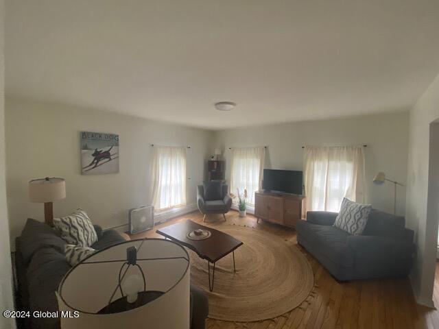 living room with wood-type flooring