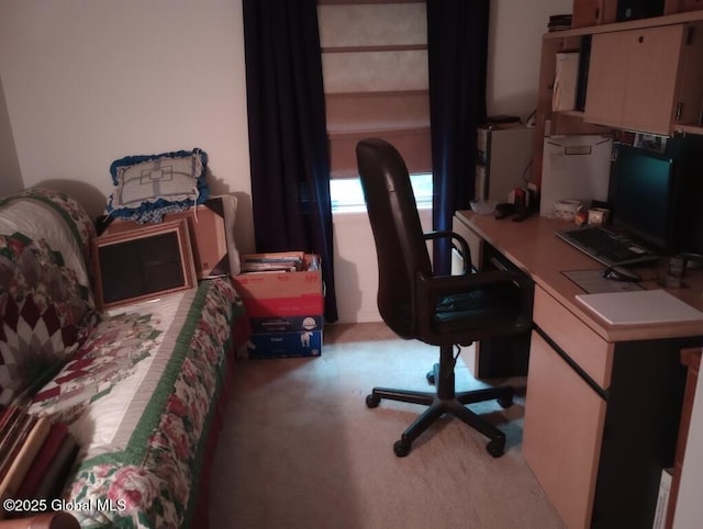 office area featuring light colored carpet