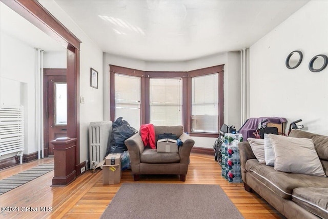 living room with light wood-type flooring and radiator heating unit