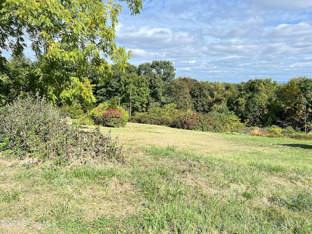 view of landscape