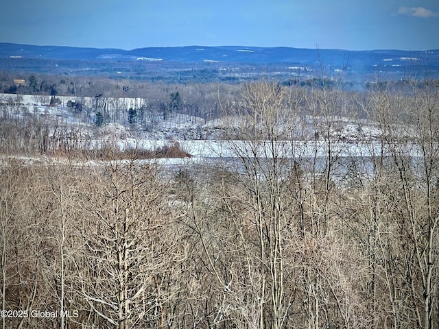 aerial view with a mountain view