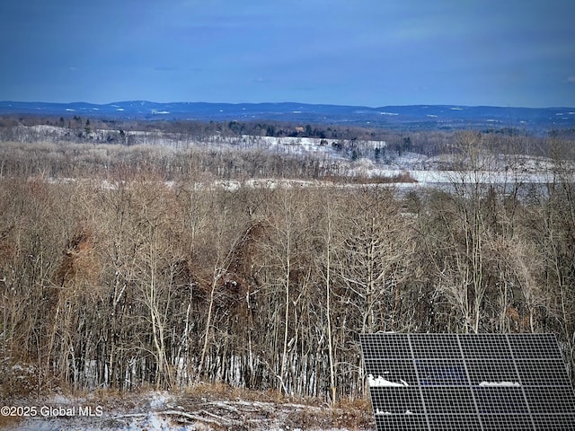 view of mountain feature