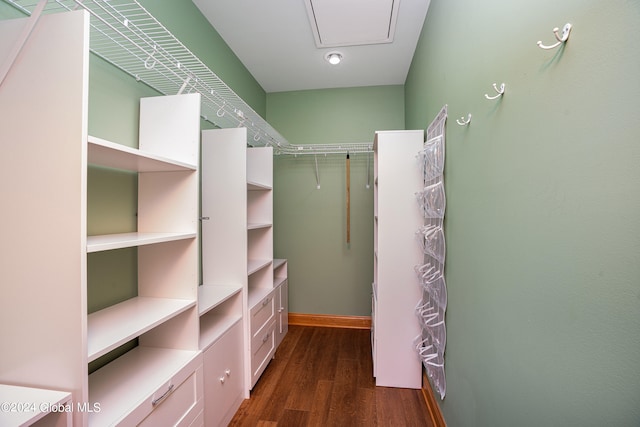 spacious closet with dark wood-type flooring