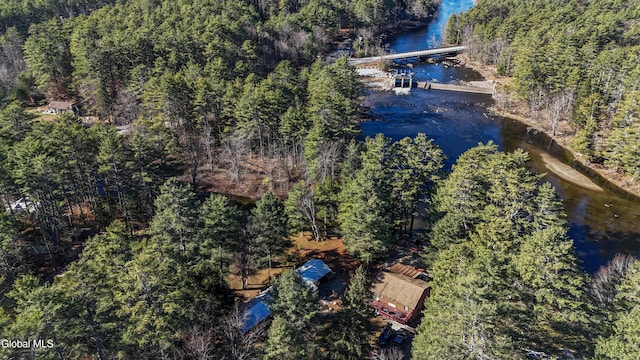 25 Schroon River Frst, Chester, NY 12817 - photo 6