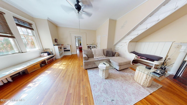 living room featuring ceiling fan, ornamental molding, and light hardwood / wood-style floors