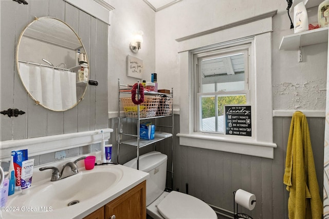 bathroom featuring vanity, wood walls, and toilet