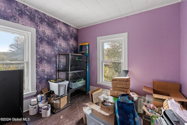 miscellaneous room with dark hardwood / wood-style flooring