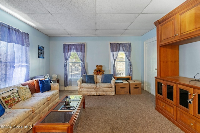 living room featuring a paneled ceiling, a wealth of natural light, and carpet