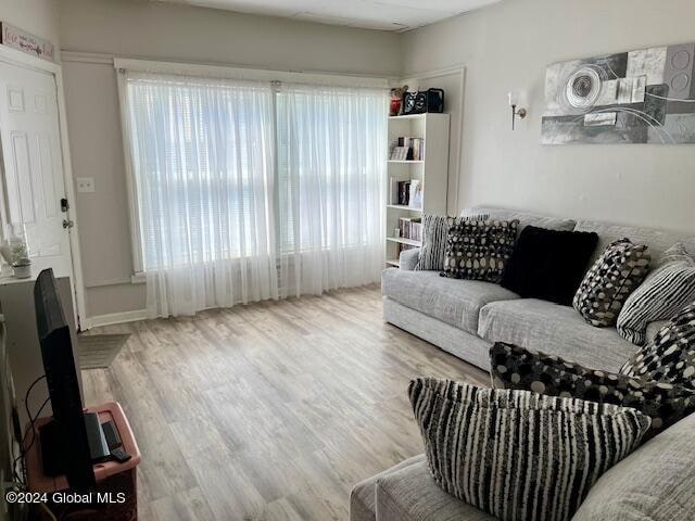 living room featuring wood-type flooring