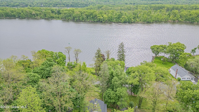 bird's eye view with a water view