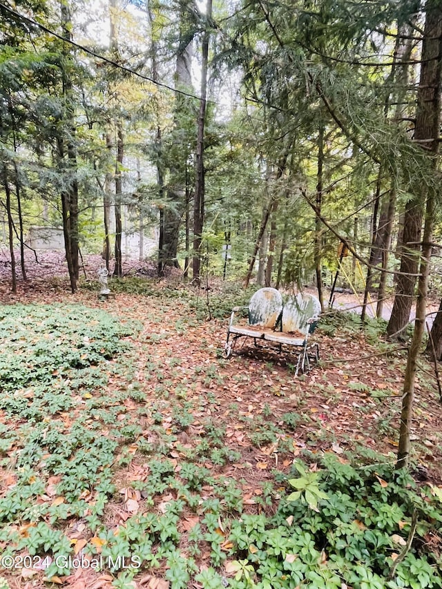 21 Pine Rd, Lake Luzerne, NY 12846 - view of yard with a wooded view