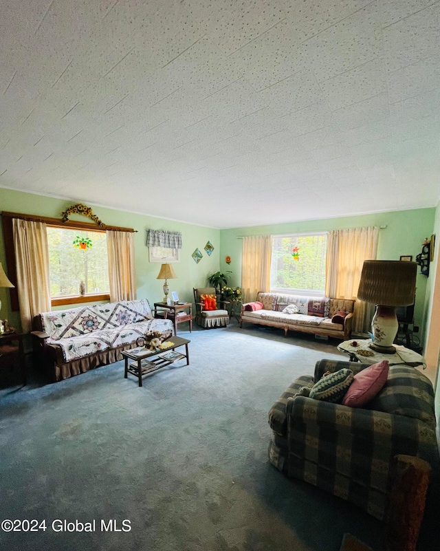 living room featuring carpet and a textured ceiling