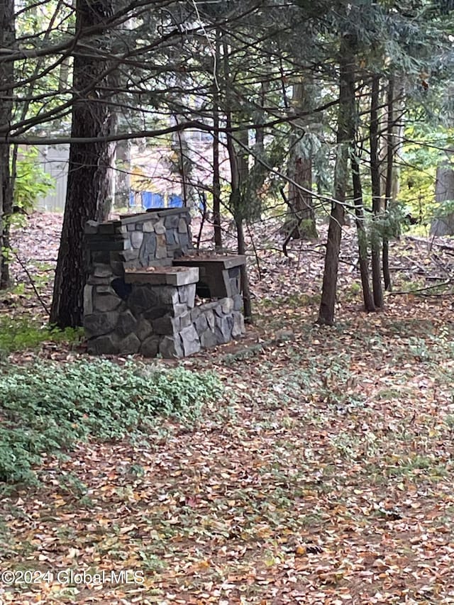 21 Pine Rd, Lake Luzerne, NY 12846 - view of yard