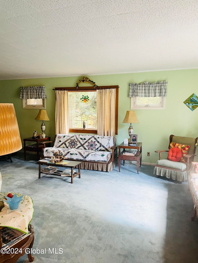 carpeted living room with a textured ceiling