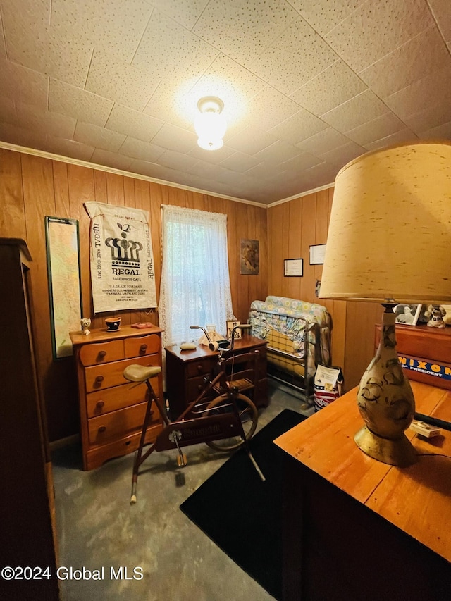 21 Pine Rd, Lake Luzerne, NY 12846 - office space with crown molding, carpet flooring, and wood walls