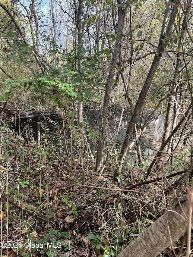 37 Hancock St, Fort Plain, NY 13339 - view of nature