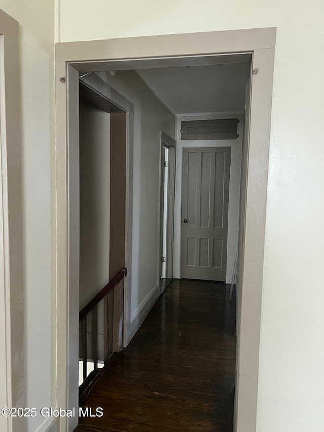 hallway with dark wood-type flooring