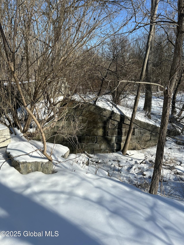 view of snowy landscape