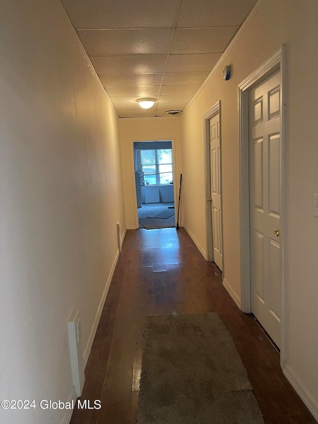 hall featuring a paneled ceiling, dark wood-type flooring, and crown molding