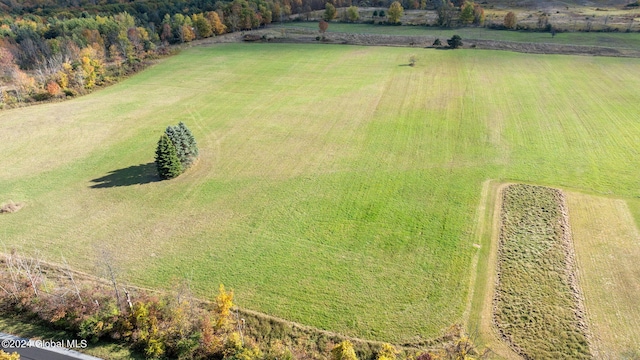 183 Albany Hill Rd, Westerlo NY, 12193 land for sale