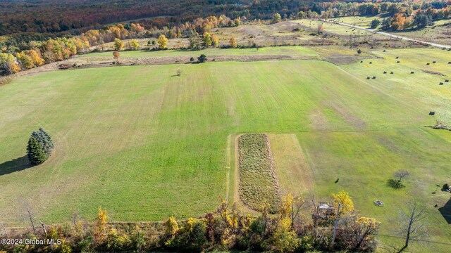 183 Albany Hill Ext, Westerlo, NY 12193 - photo 3