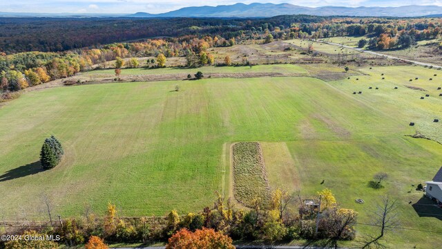 183 Albany Hill Ext, Westerlo, NY 12193 - photo 4