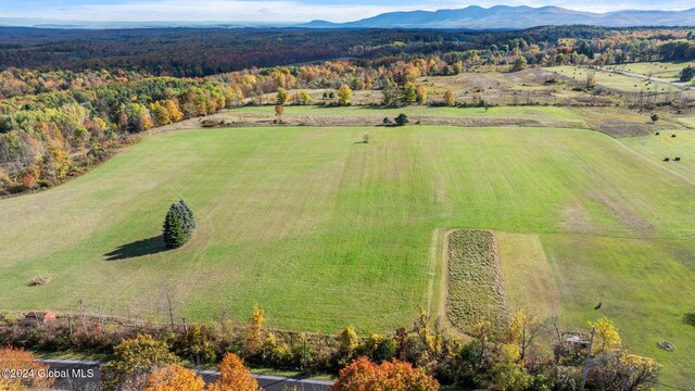 183 Albany Hill Ext, Westerlo, NY 12193 - photo 5