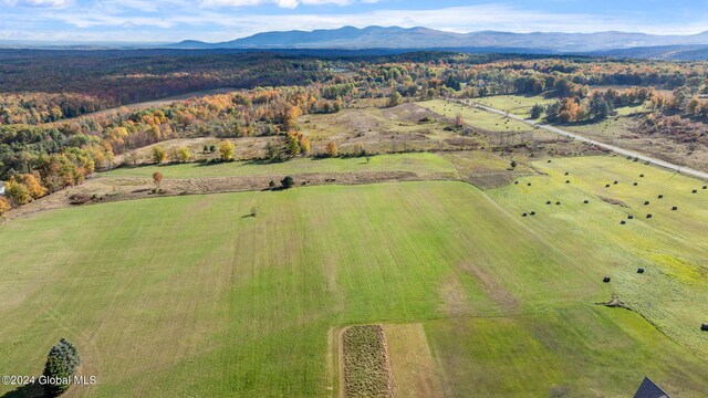 183 Albany Hill Ext, Westerlo, NY 12193 - photo 6