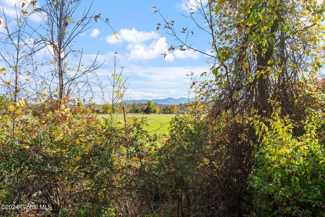 183 Albany Hill Ext, Westerlo, NY 12193 - photo 8