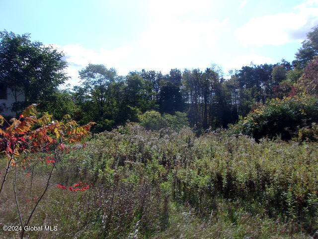 view of landscape