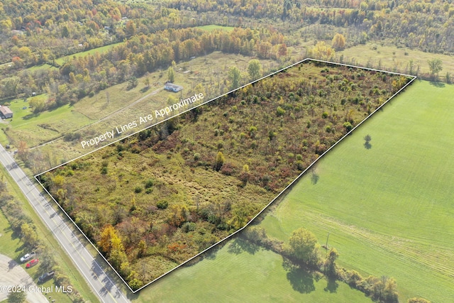 L1.2 Carlisle Rd, Root NY, 12166 land for sale