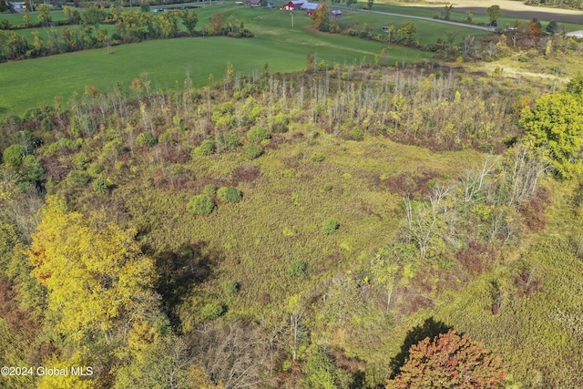L1.2 Carlisle Rd, Root, NY 12166