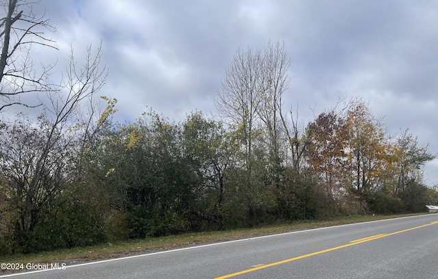L1.2 Carlisle Rd, Root, NY 12166