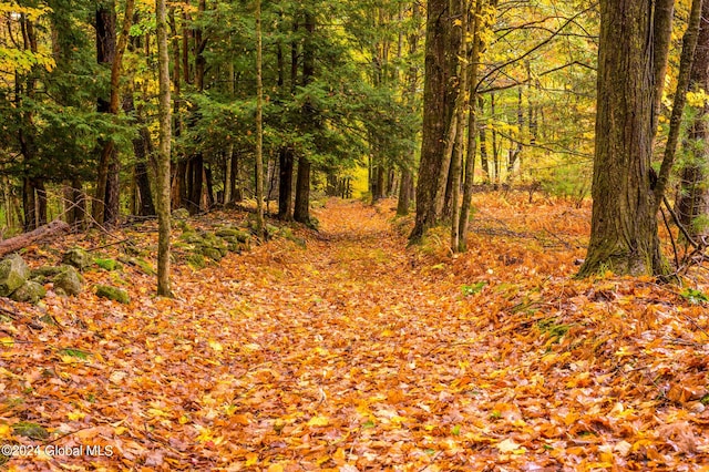 view of nature featuring a wooded view