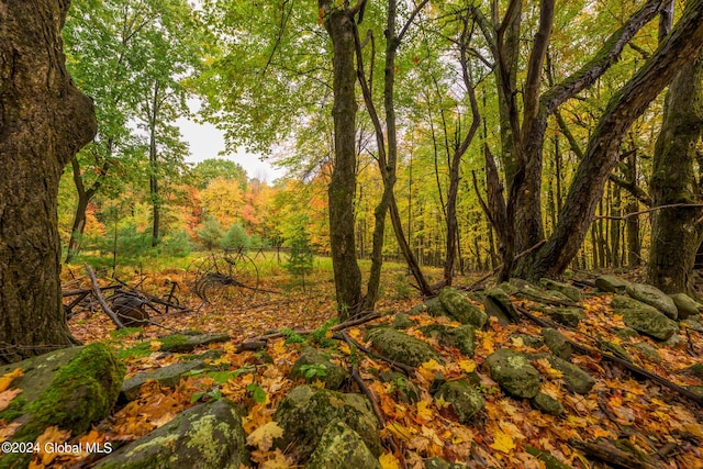 view of landscape with a forest view