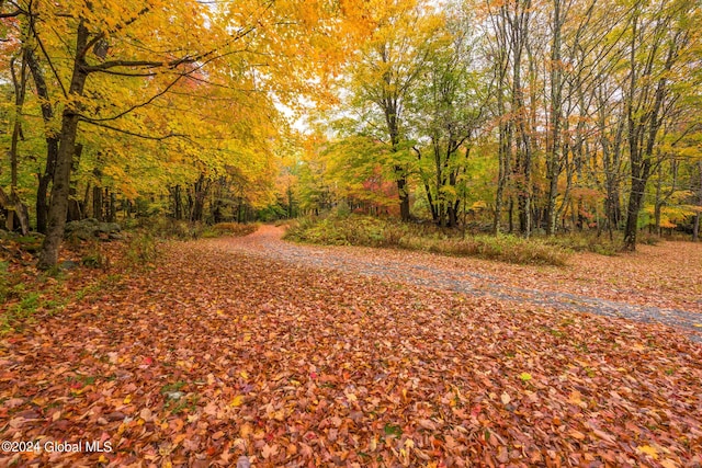 view of street featuring a forest view