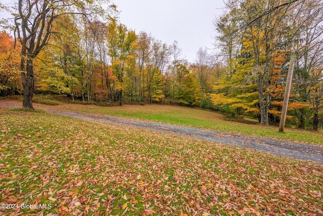 view of yard featuring a forest view