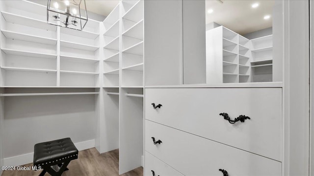 spacious closet featuring hardwood / wood-style flooring