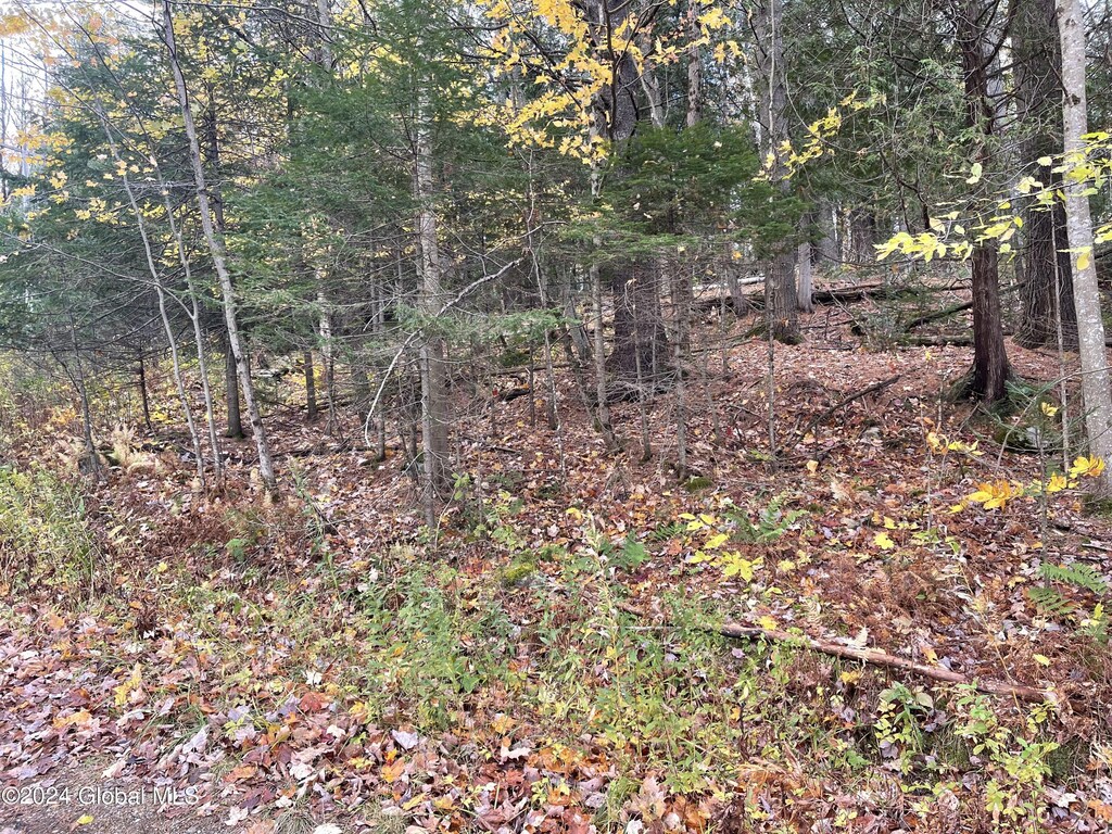 L47.2 Mallon Rd, Minerva, NY 12857 - photo 3