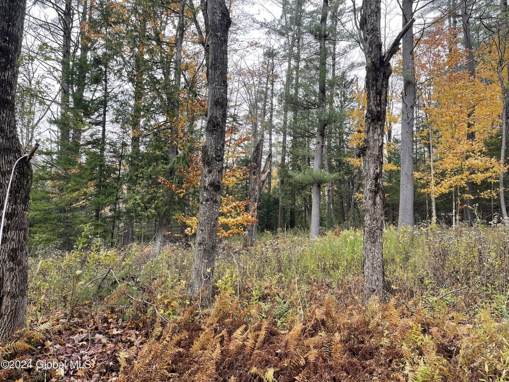 L47.2 Mallon Rd, Minerva, NY 12857 - photo 1