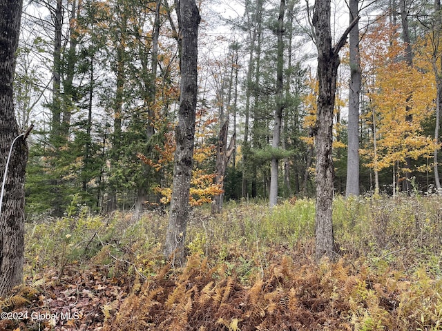 L47.2 Mallon Rd, Minerva, NY 12857 - photo 1
