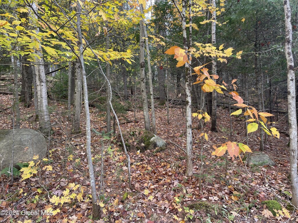 L47.2 Mallon Rd, Minerva, NY 12857 - photo 4