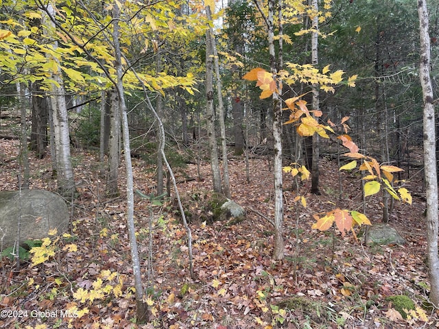 L47.2 Mallon Rd, Minerva, NY 12857 - photo 4