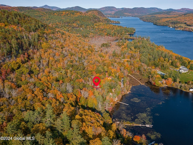 bird's eye view featuring a water and mountain view