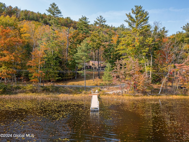 view of dock with a water view