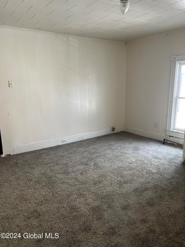 empty room featuring carpet